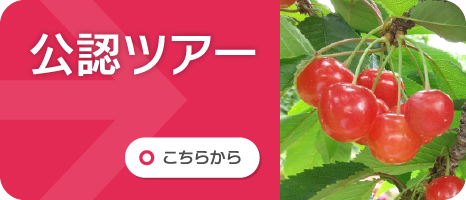 公認ツアー